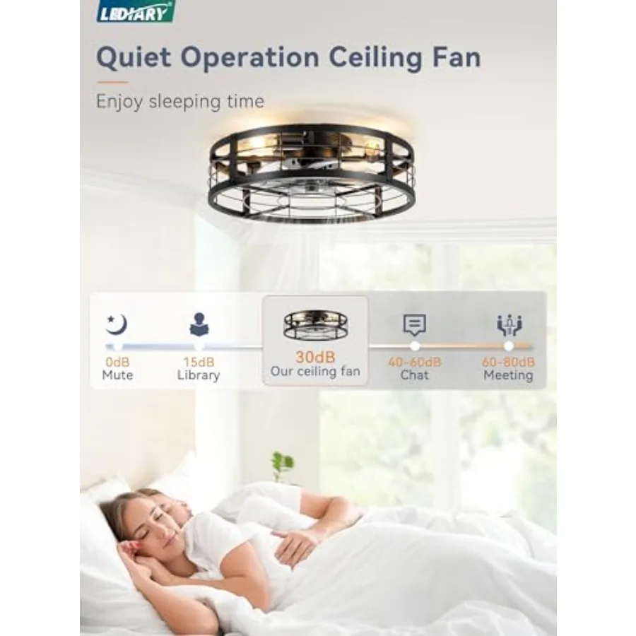 20 Caged Ceiling Fan with Light and Remote, Low Profile Flush Mount Fandelier, Black Metal Blades, Rustic Farmhouse Style for B