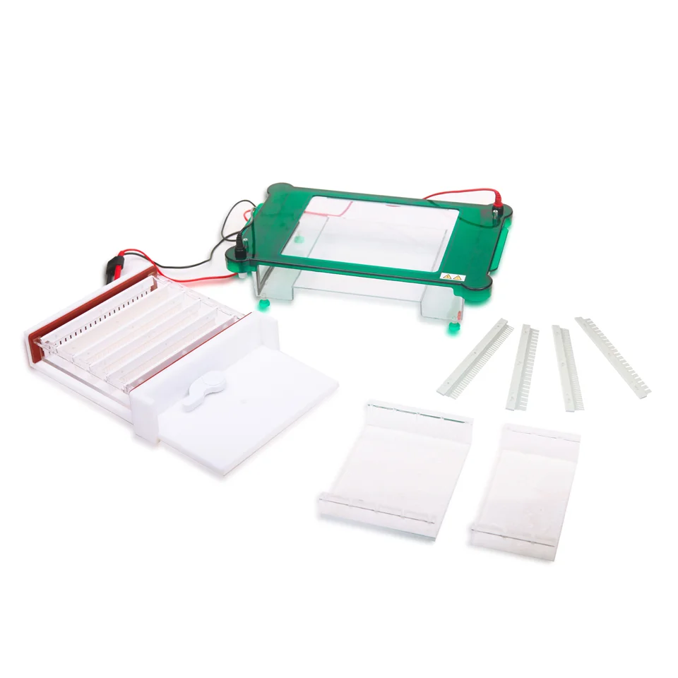 

Medial Horizontal Gel Electrophoresis System for lab