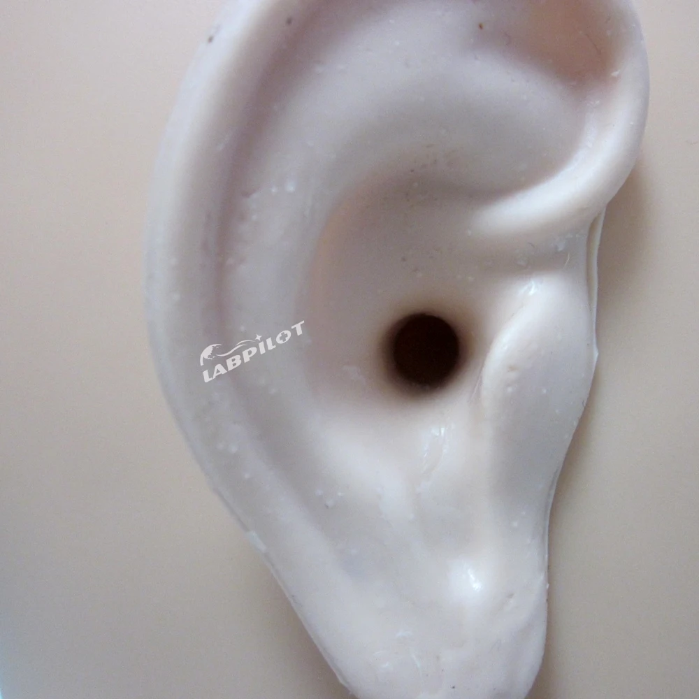 Ear Irrigation Training Simulator Otoscope examination Model