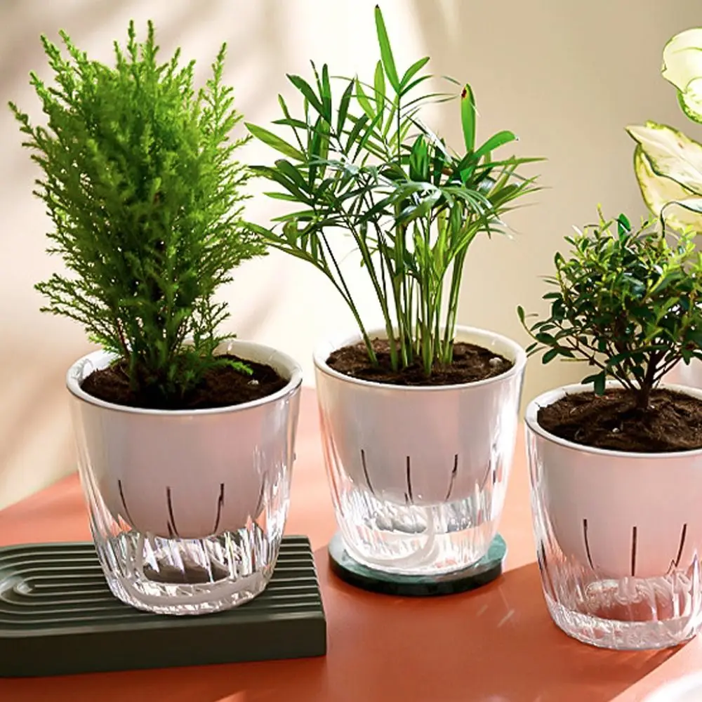 Transparent Self-priming Flowerpot Durable Double-layer Hydroponic Vessel Thicken Detachable Seedling Tray Lazy Potted