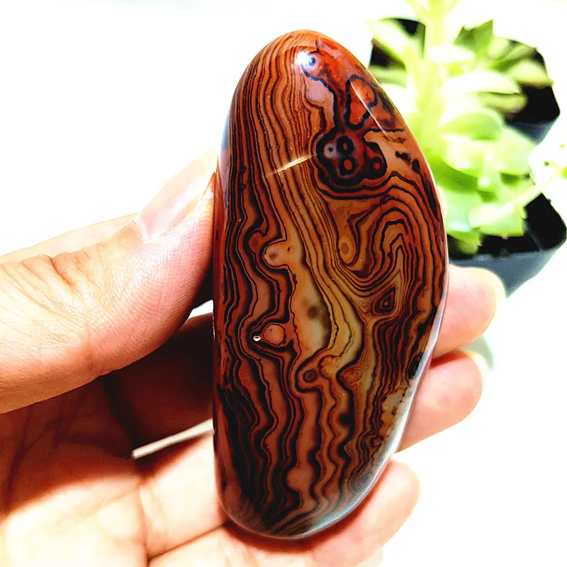 Cristal naturel dentelle Sardonyx Agate palmier pierres magie méditation guérison spirituelle Feng Shui Crsytal gemme décoration de salle