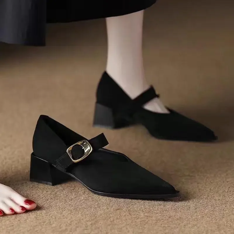 Adjustable Buckle Strap Autumn Elegant Daily Women Vintage Mary Jane Block Heel Pumps, Pointed Toe Dress Shoes,  Office Footwear