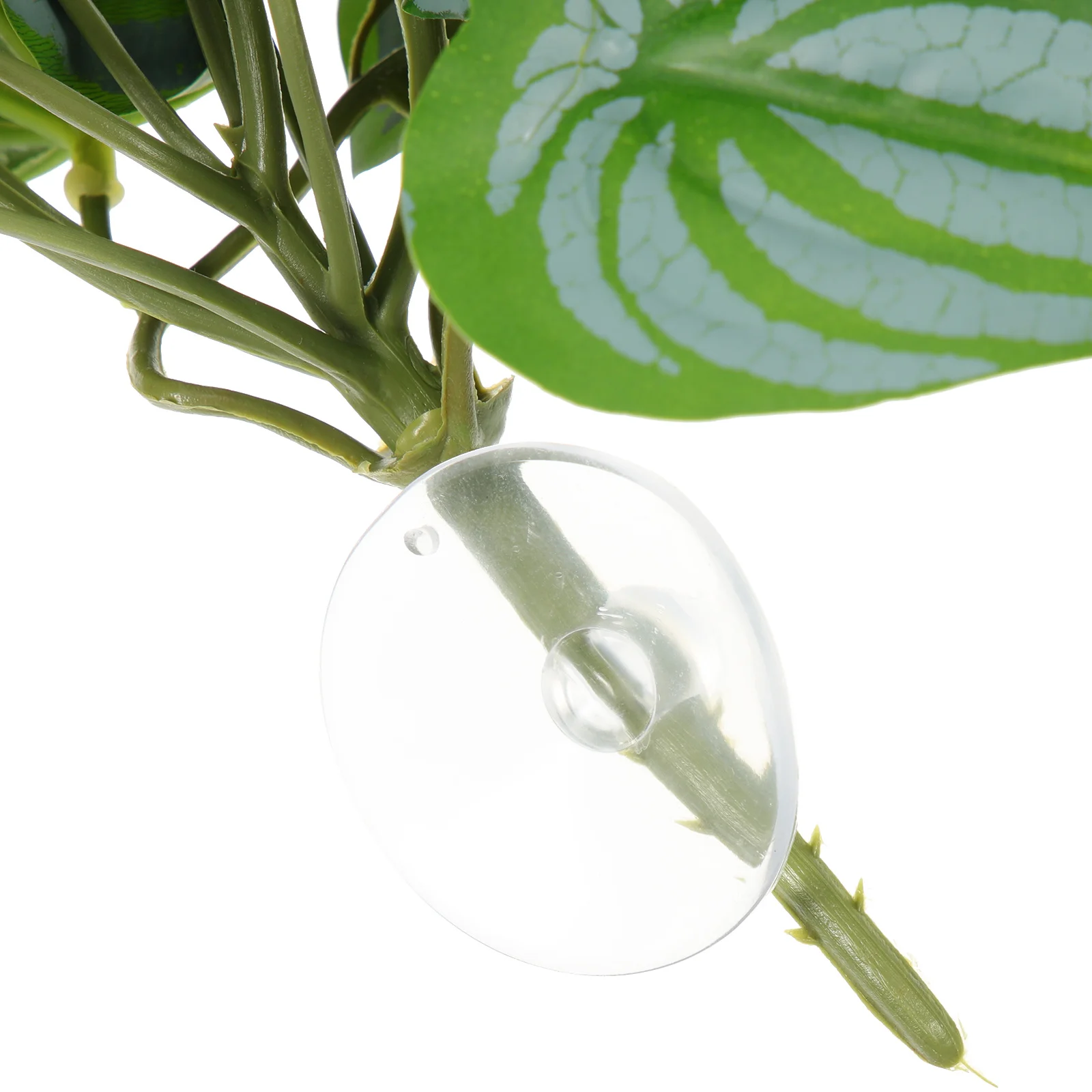 

2Pcs Reptile Tank Fake Leaves Suction Cup Simulated Terrarium Plants Decorative Artificial Plant Ornaments for Reptile Habitat
