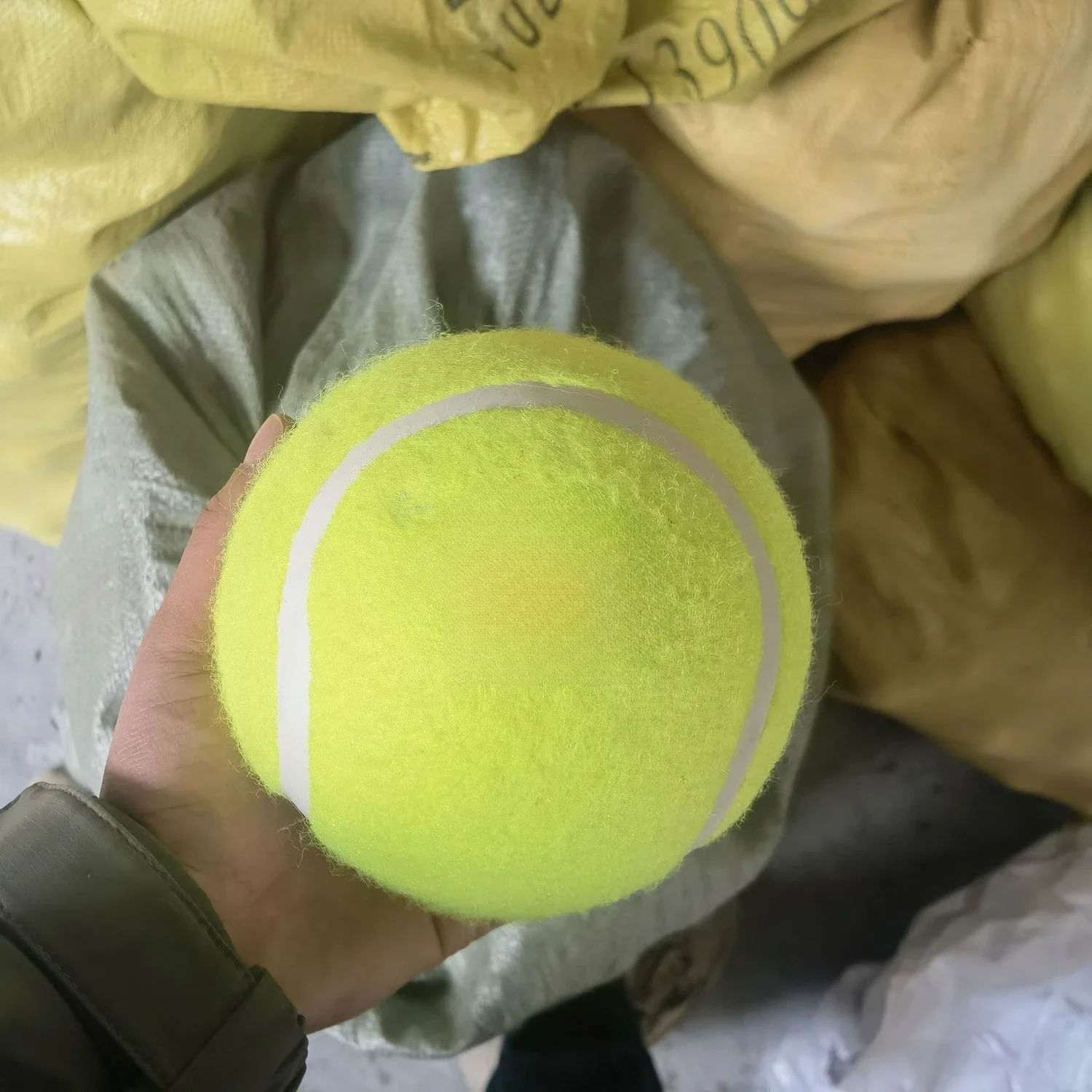 Tennis  Cat Toy Ball Corgi Walking  Training Bite Resistant Pet Products