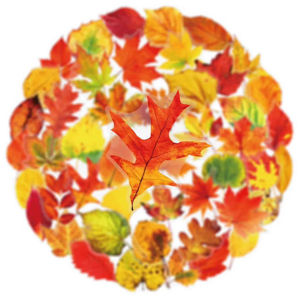 

10/50PCS Cartoon Maple Leaf Graffiti Stickers Creative Decoration Pencil Box Refrigerator Skateboard Guitar Transparent Decals