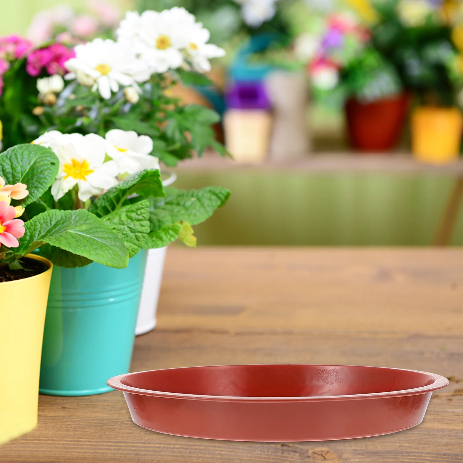 

30Pcs Round Plant Pot Trays Heavy Duty Flowerpot Water Trays for Home Garden Soil Spillage Protection Reusable Gardening