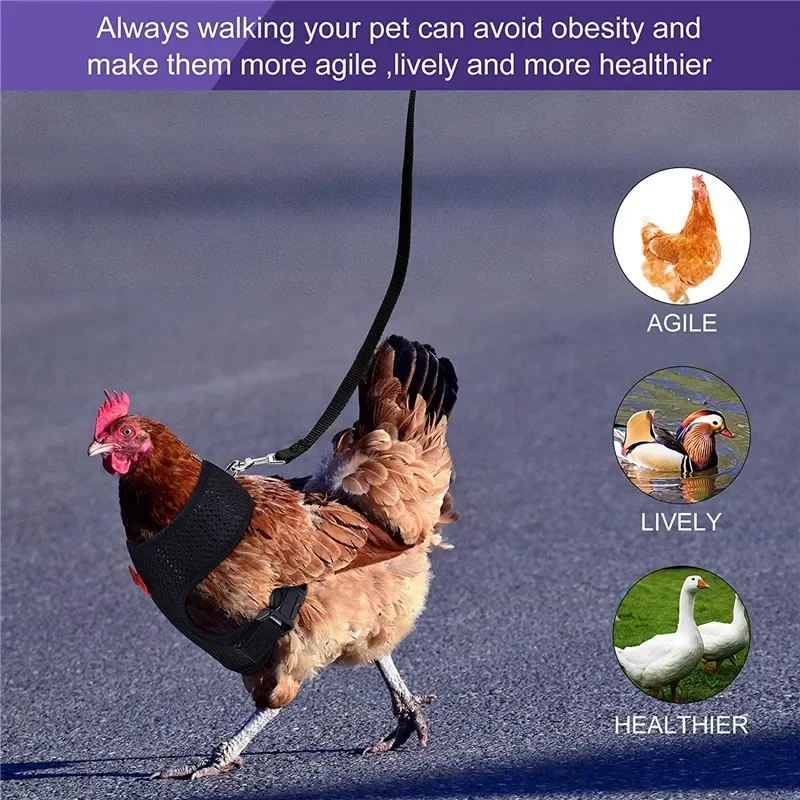 Fashion Chicken Duck Vest Breathable Hen Belt Bow Comfortable Leads Pet Harness Matching Collars Mesh  Poultry Supplies Leash