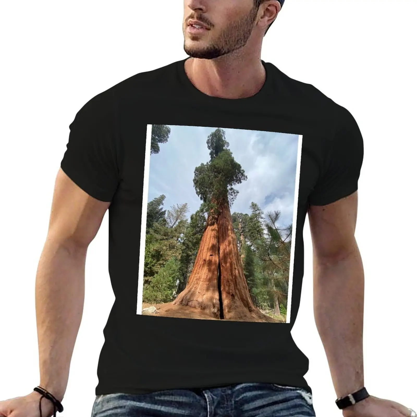 

t shirt shirt t T-Shirt Sequoia Tree man man designer luxury