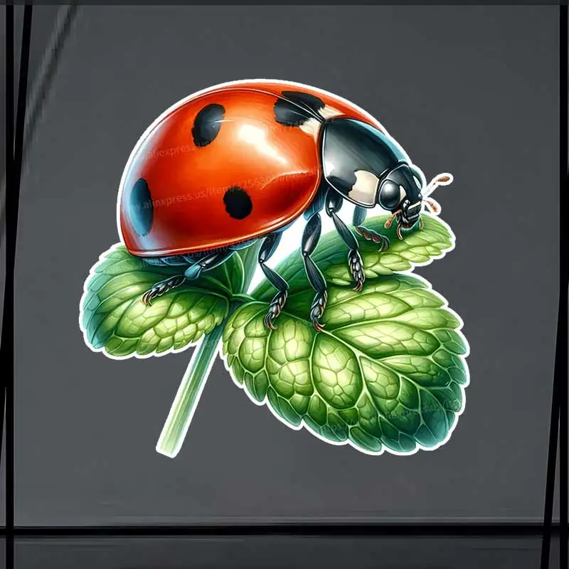 

Red Beetle Ladybug Car Sticker Vinyl Decal Waterproof Rear Window Camper Bumper Truck Laptop Decoration SH893