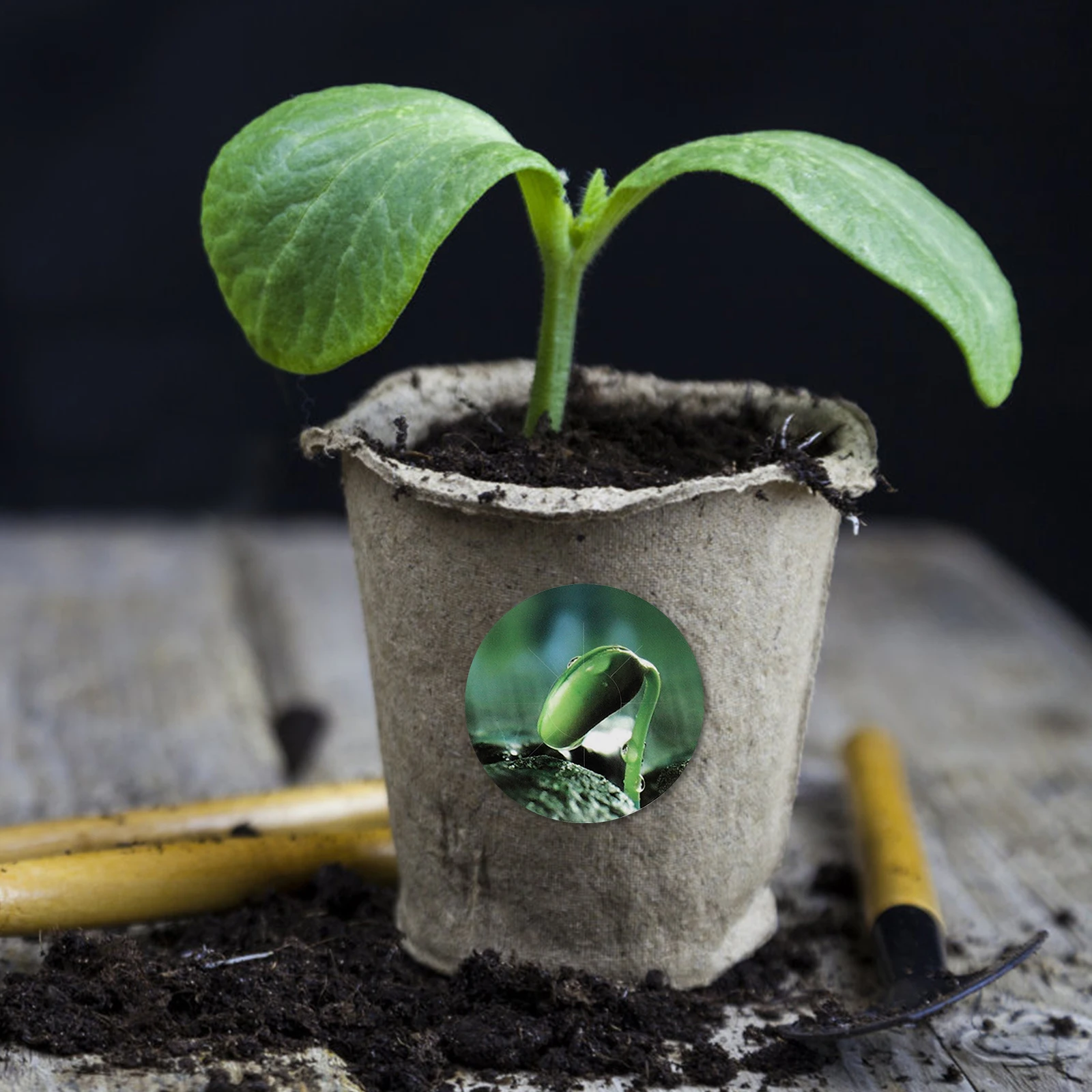 

5 Sheets Waterproof PVC Seed Pot Labels for Hydroponic Plant Growth Self-Adhesive Marker Stickers Seed Pot PVC Labels