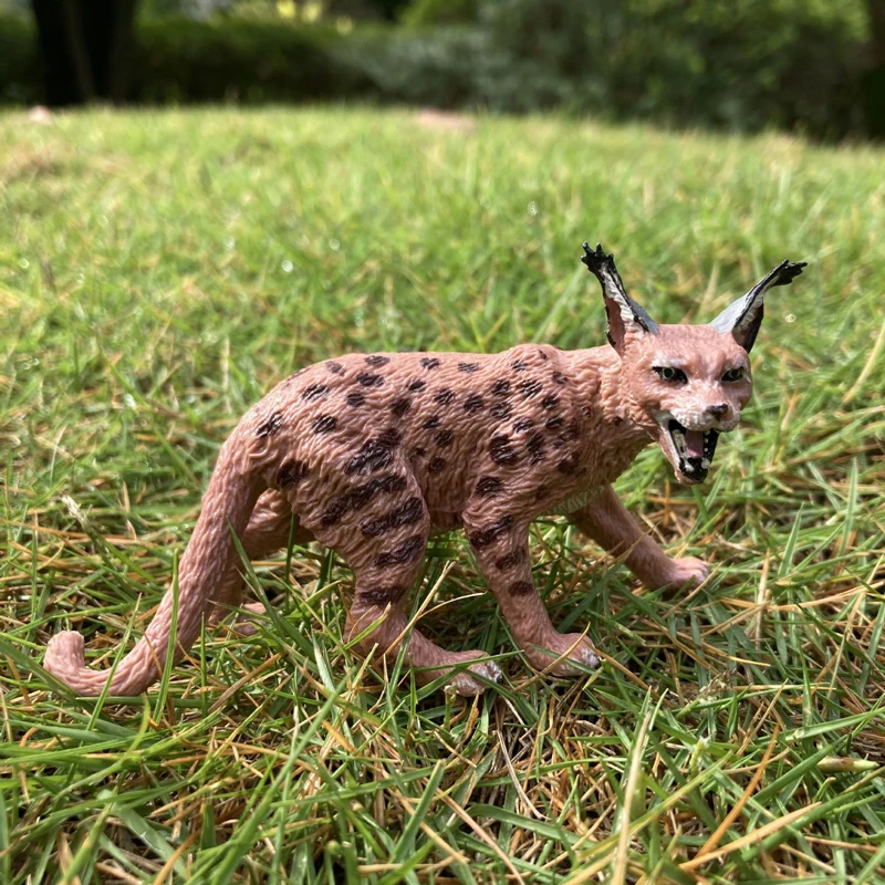 현실적인 동물 장난감 모델 긴 꼬리 산 표범 고양이 수지 피규어 홈/오피스 장식 수집 장난감 어린이 조기 교육