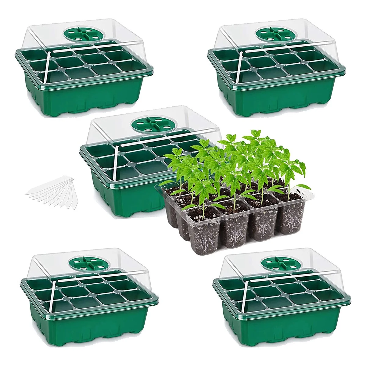 

5-PCS Seed Tray Seedling Kits, Plant Kit with Humidity Domes and Base (12 Cells Per Tray)- Green