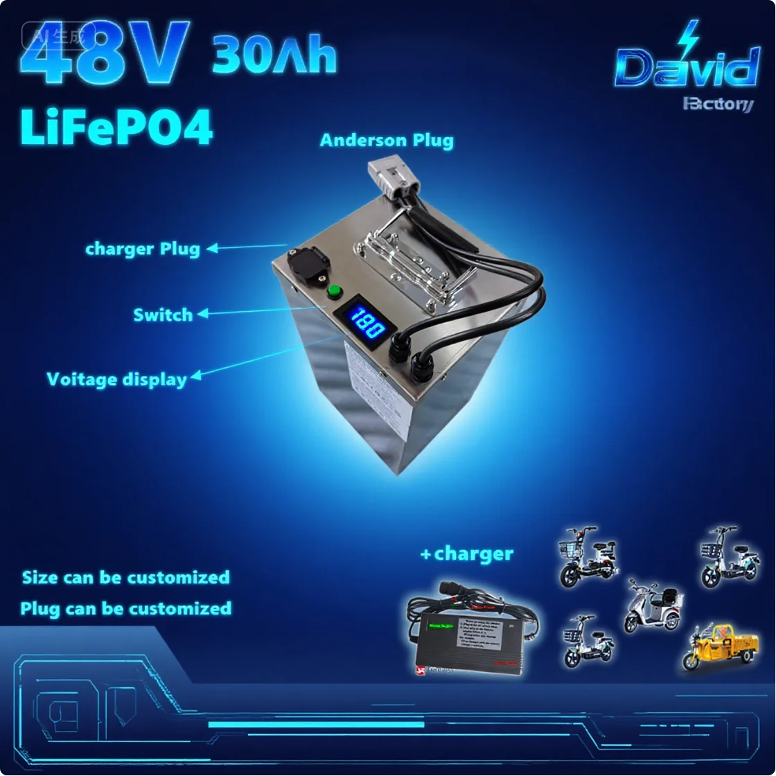 

Аккумулятор для скутера 48 В 30 Ач-180 Ач LiFePO4 аккумулятор для 500 Вт 800 Вт 1 кВт 2 кВт 3 кВт тележка для гольфа трактор двухколесный автомобиль скутер трехколесный велосипед