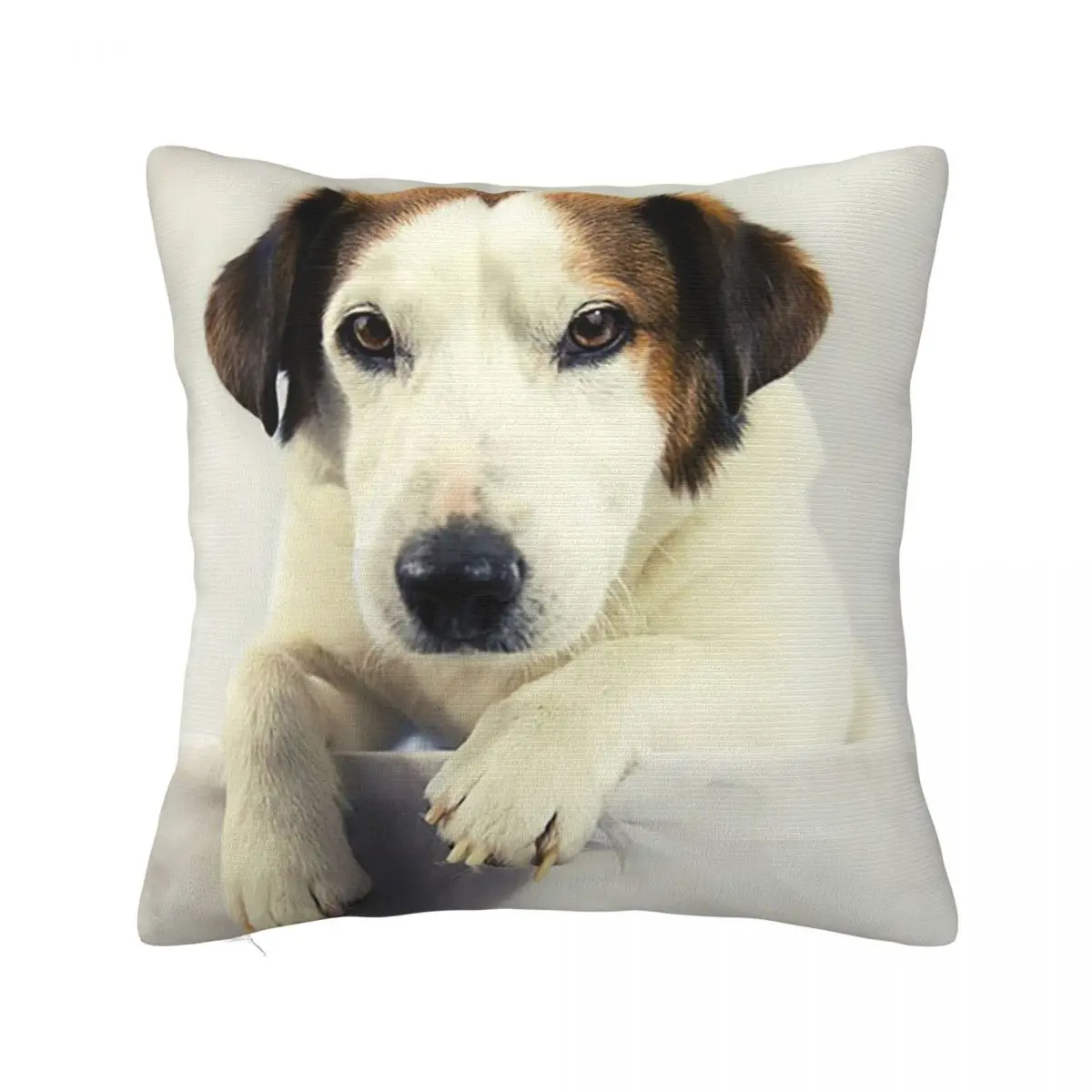 Dog Jack Russell Terrier Photo Square Pillowcase Pillow Cover Cushion Zip Decorative Comfort Throw Pillow for Home Car