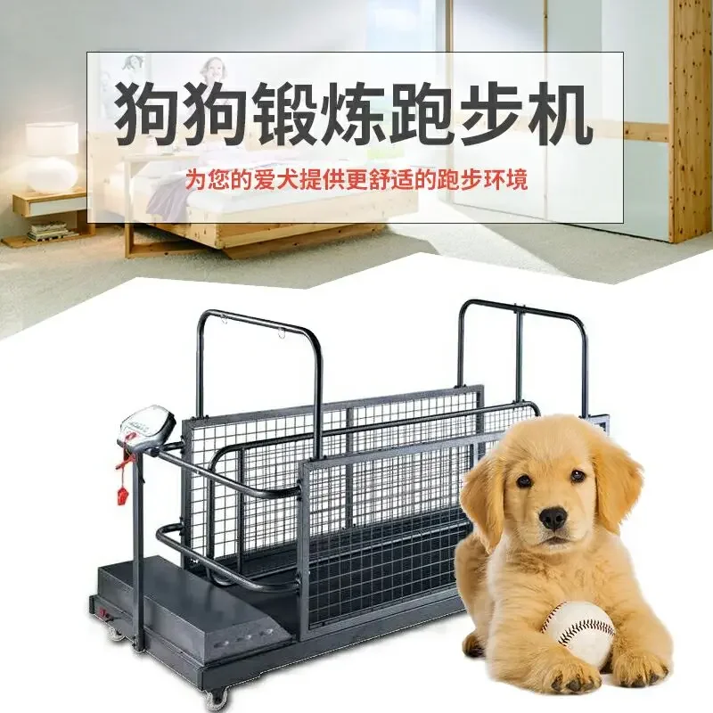 Household Pet Training Large Dogs Dog Treadmill Gree Whippet Thin Dogs Animal Walking Dog Exercise