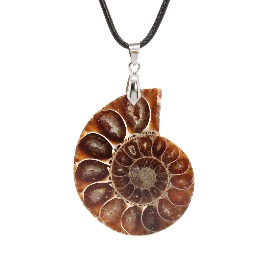 2inch Vintage Natural Stones Pendants for Women Ammonite Seashell Snail Sea Ocean Conch Animal Necklace Men Summer Jewellery