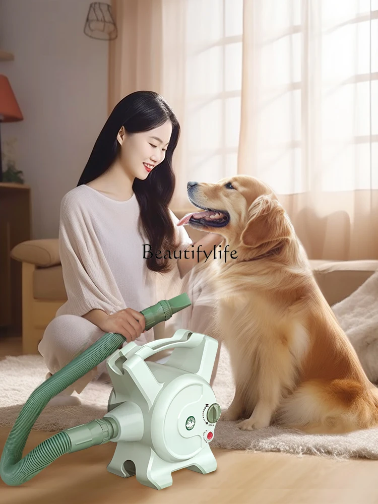 Pet Water Dispenser Large Dog Dog Hair Dryer High Power Low Noise Bath Hair Dryer