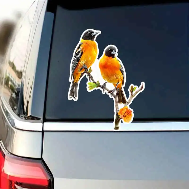 

Weatherproof Outdoor Vinyl Stickers Two Oriole Bird Decal for Car Living Room Bedroom Dining Room Bathroom Decor HE07