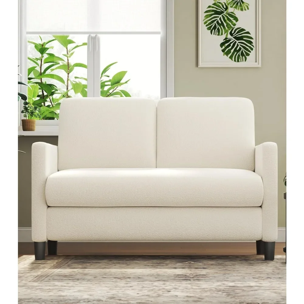 Loveseat Sofa, 51