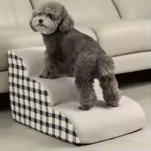 מדרגות בטיחות לכלבים וחתולים 🐕