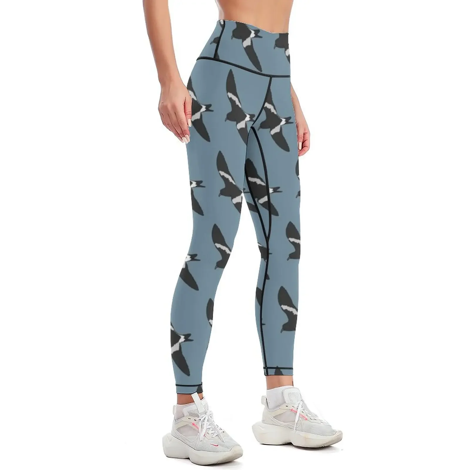 Leach's Storm Petrel Leggings gym's clothing Leginsy push up Women sports Sports pants for Womens Leggings