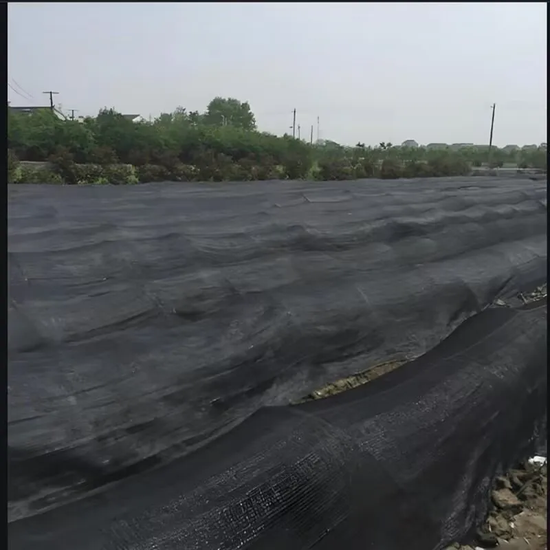 

Black Sun Shading Net for Balcony, Garden, Greenhouse, Succulent Plant, Swimming Pool Sunshade, 75% Anti-UV HDPE, 6 Pin