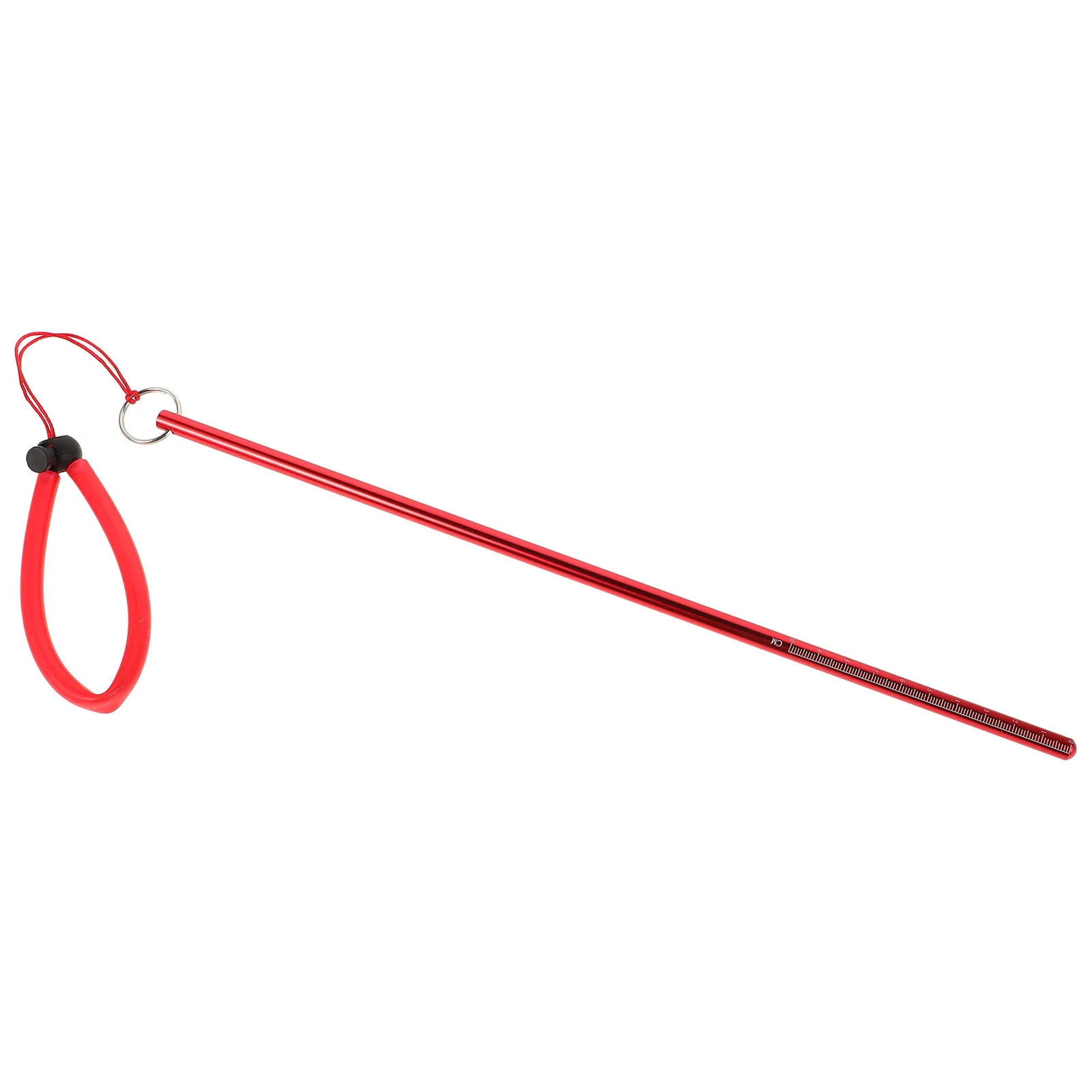 Underwater Probe Stick Aluminum Alloy Scuba Diving Accessory Diving Pointer Rod for Lobster Measuring Bottle Knocking Signaling view 2