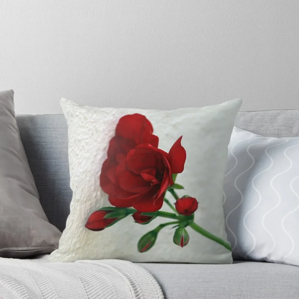 

Wallflower / Muurblommetjie Throw Pillow christmas decorations 2025 Sofa Cushion Pillow Cases pillow