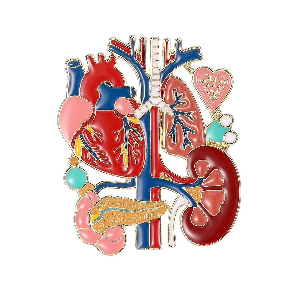 Catuni Human Organ Anatomy Enamel Pin Colored Pin For Human Internal Organs Precious Medical Jewelry For Doctors And Nurses