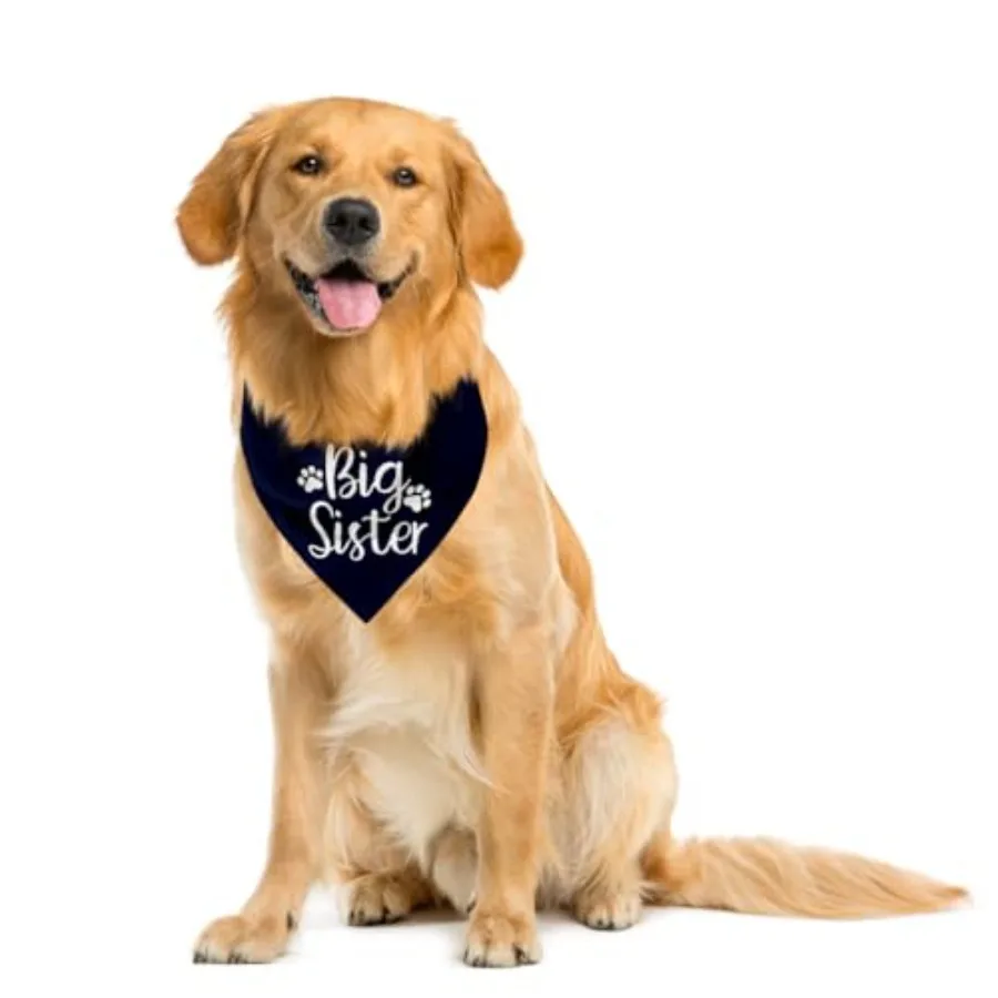 Big Sister Dog Bandana, Funny Pet Triangle Scarf for Pregnancy Reveal Daily Walk Playdate Birth Announcement Photo Outfit, Neck view 4