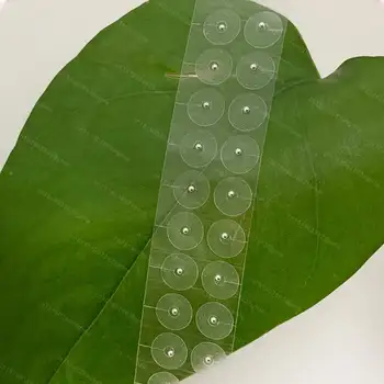 Průhledná nálepka na uši, semena pro péči o uši, akupunkturní aurikulární jednorázová nálepka na uši, masážní terapie, jehlová náplast, aurikuloterapie 10 nejlepší prodej správné ucho - №10