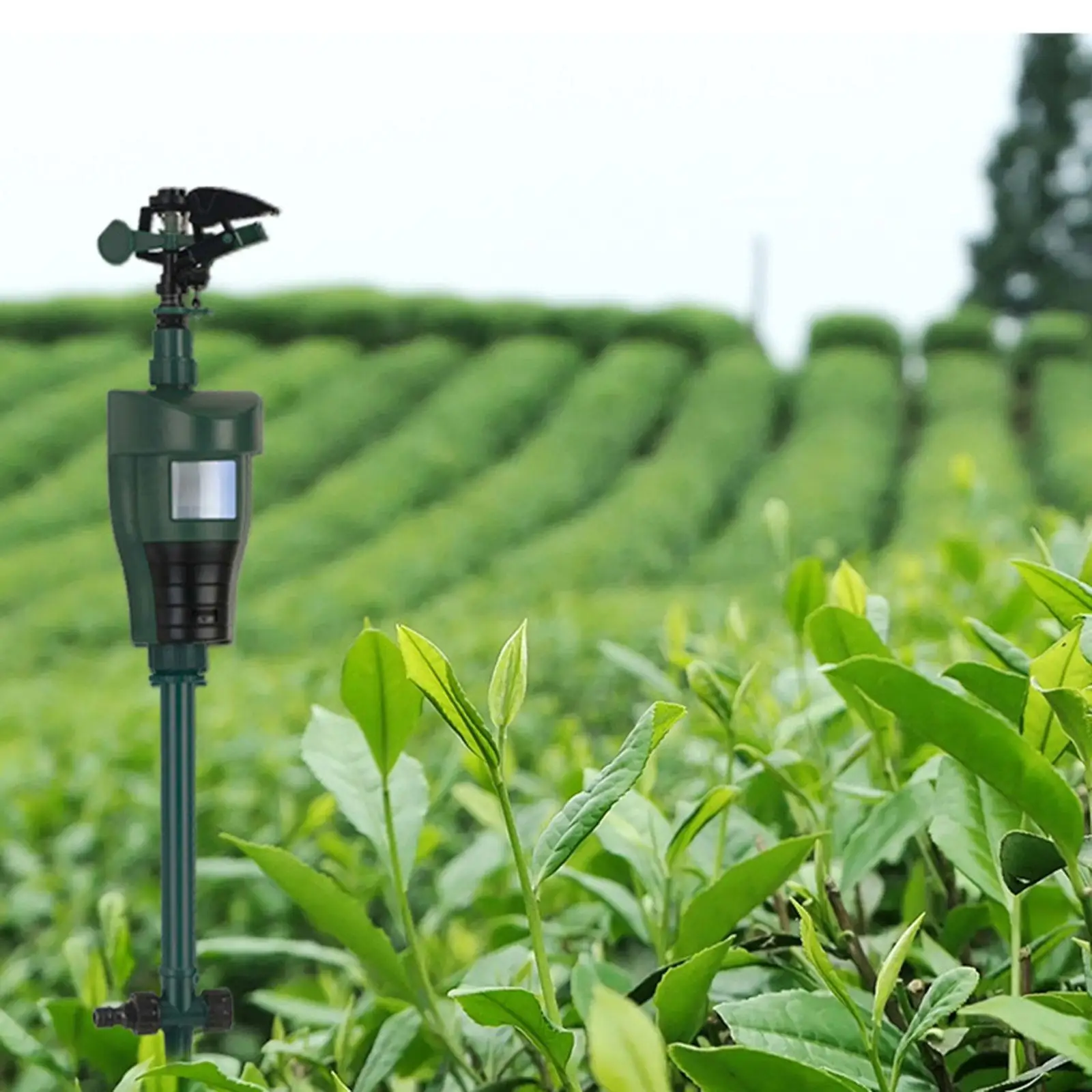 

Отпугиватель голубей с разбрызгивателем воды, активируемый движением, отпугиватель трав, отпугиватель трав для садов