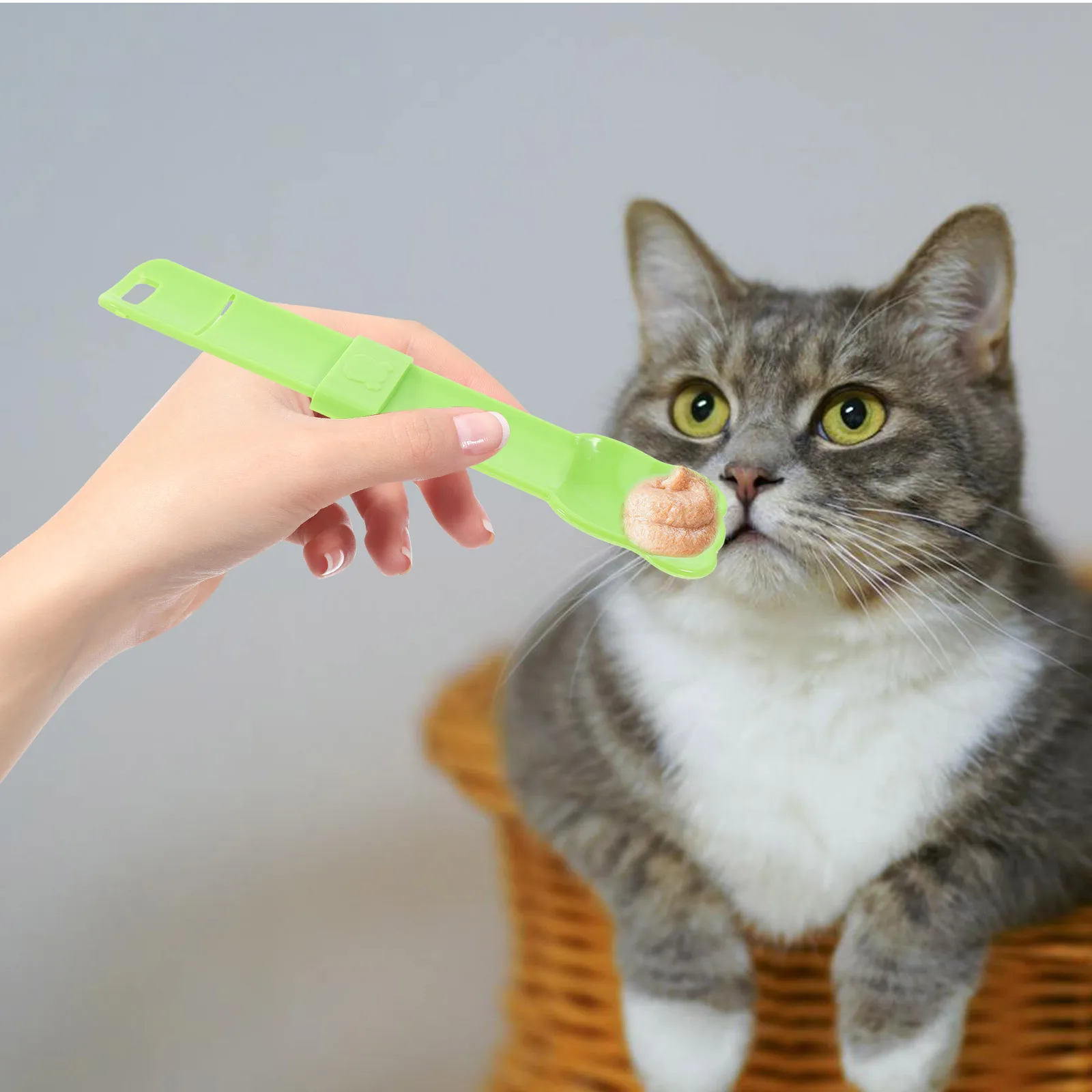 

3Pcs Cat Strip Feeder Spoon Squeeze Design Wet Food Dispenser for Cats Multifunctional Pet Treat Feeding Tool ABS Safe Material