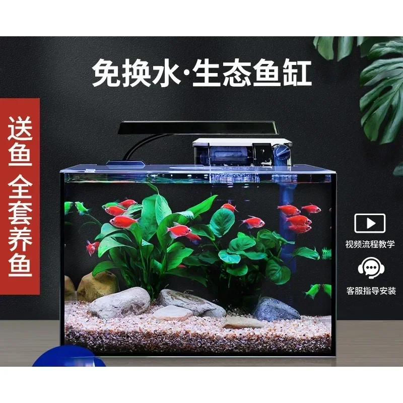 Fish tank full set of gold crystal ultra-white glass tank living room small desktop water-free ecological grass