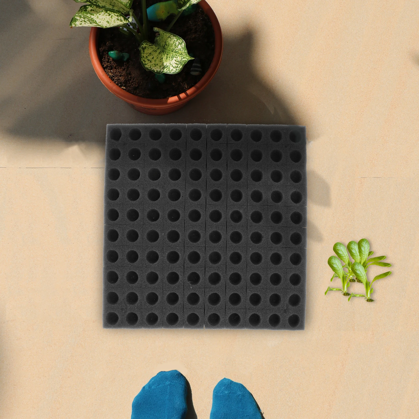 

2 Sheets Seedling Sponge Blocks Hydroponics Plant Box System Growing Kits Soilless Cultivation Gardening Tools Vegetable Starter