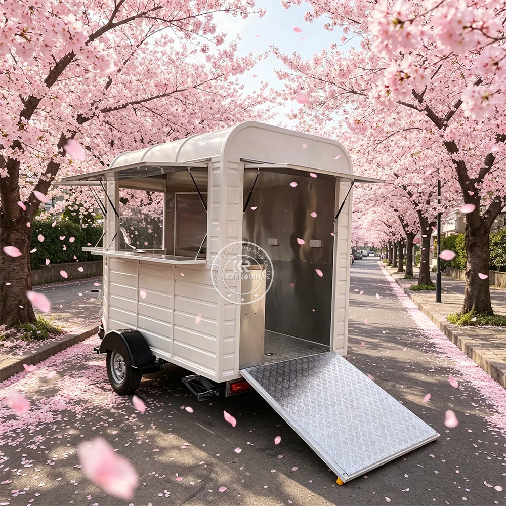 

CE Certified Custom Concession Trailer Food Trailer Mobile Street Catering Kiosk Smoothie Food Truck Fully Equipped