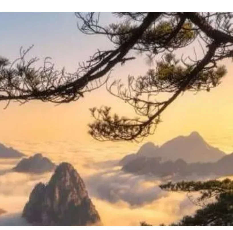 

2 пары Gemfan Flash 5152-2 5,1X5,2 2-лопастной пропеллер, опора, лопасть по часовой стрелке против часовой стрелки для двигателя 2205-2306 для радиоуправляемых дронов, рама квадрокоптера