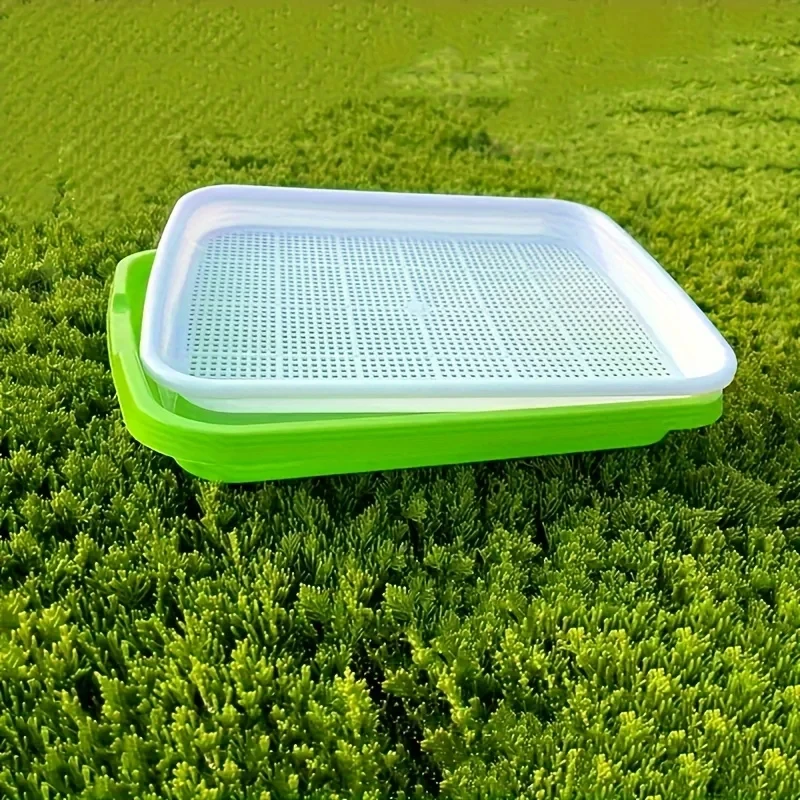 Home Seed Germination Tray Seedling Planting Pot Wheatgrass Cultivation Soilless Tray for Gardening And Agriculture