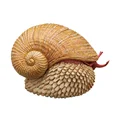 scaly-foot snail 2