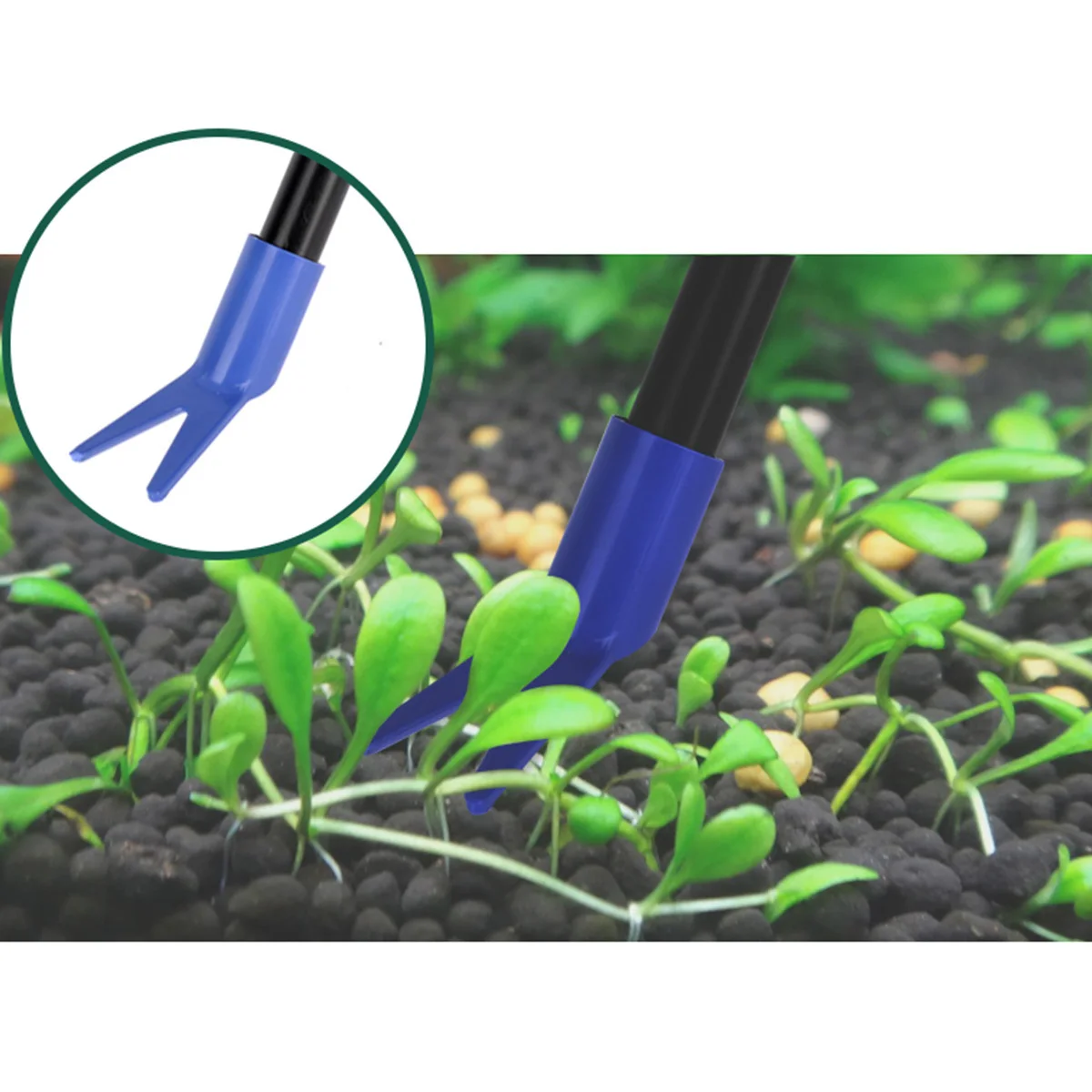 

Aquarium Cleaning Kit Gravel Rake Algae Scraper Fork Sponge Net Durable Effective Dirty Removal Green Aquarium Cleaning Kit