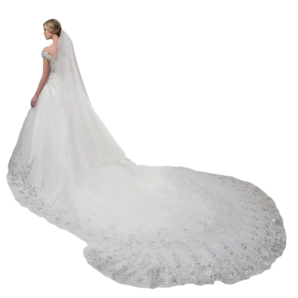 

Sparkling Elegance Stunning Cathedral Wedding Veil with Crystal Accents and Lace Edge