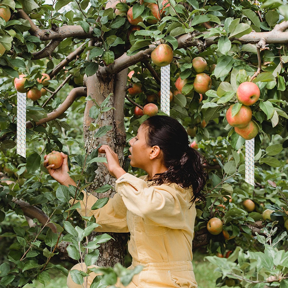 

2 Rolls Bird Scaring Reflective Tape Pet Wind Twisting Dual-Side Sunlight Reflection Deterrent For Garden Yard Orchard Balcony