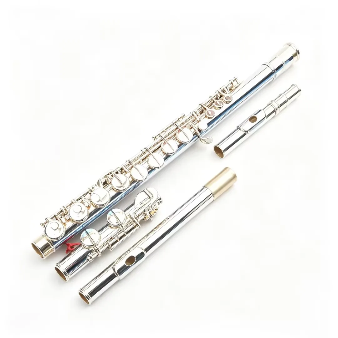 Black Flute C Key 16 Holes Nickel Plated Student Practice Woodwind Instrument with Complete Accessories