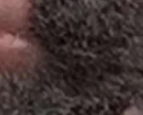 

Перезаряжаемая машинка для стрижки когтей M1 - низкий уровень шума (50 дБ), 8 часов работы от батареи, сменные насадки, для мелких и крупных животных