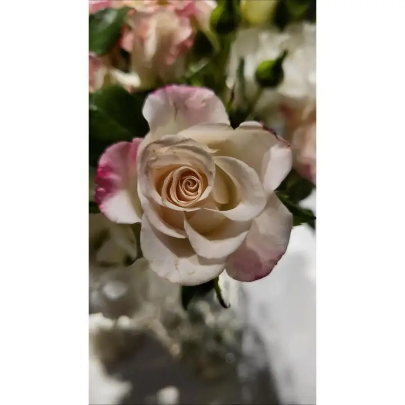 

Профессиональный адаптер для подключения внутренней памяти ноутбука (200-контактный) к настольному ПК (240-контактный DIMM DDR3)