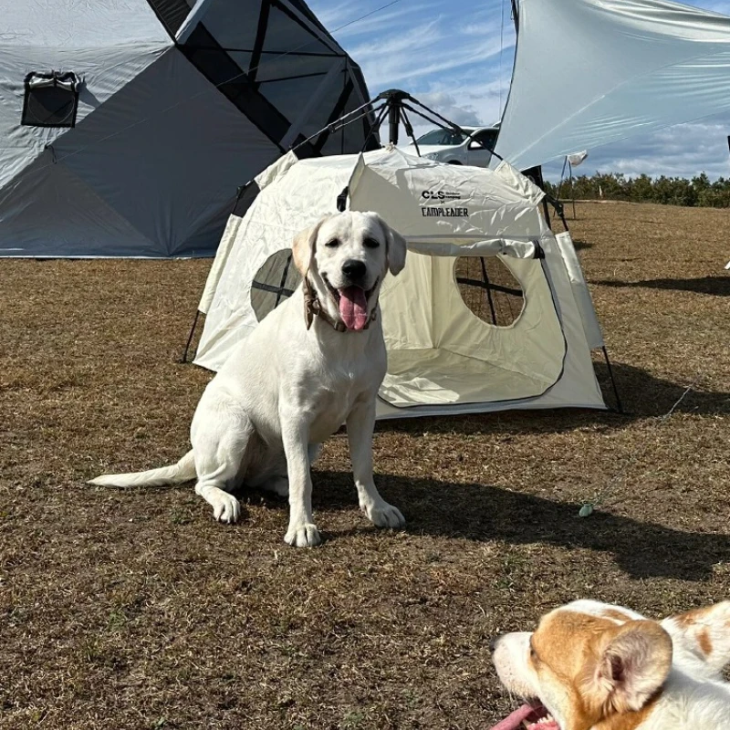 

Автоматическая всплывающая палатка для собак XL, водонепроницаемое укрытие для кемпинга с утолщенной тканью Оксфорд, всесезонный домик для собак в помещении и на открытом воздухе