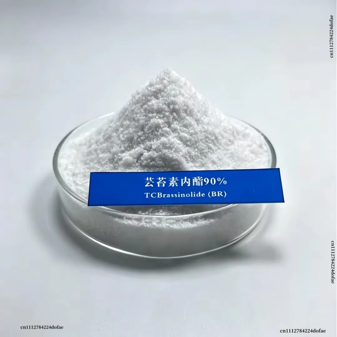 Brassinolide Powder Fertilizer Additive For Plant Flower Growth