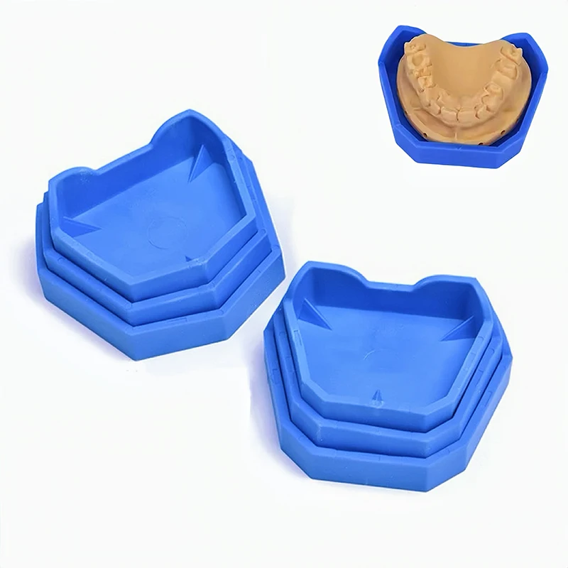 6Pcs/Set Dental Model Base Set Silicone Dentist Mold Plaster Base Denture Impression Trays Dentist Laboratory Tools