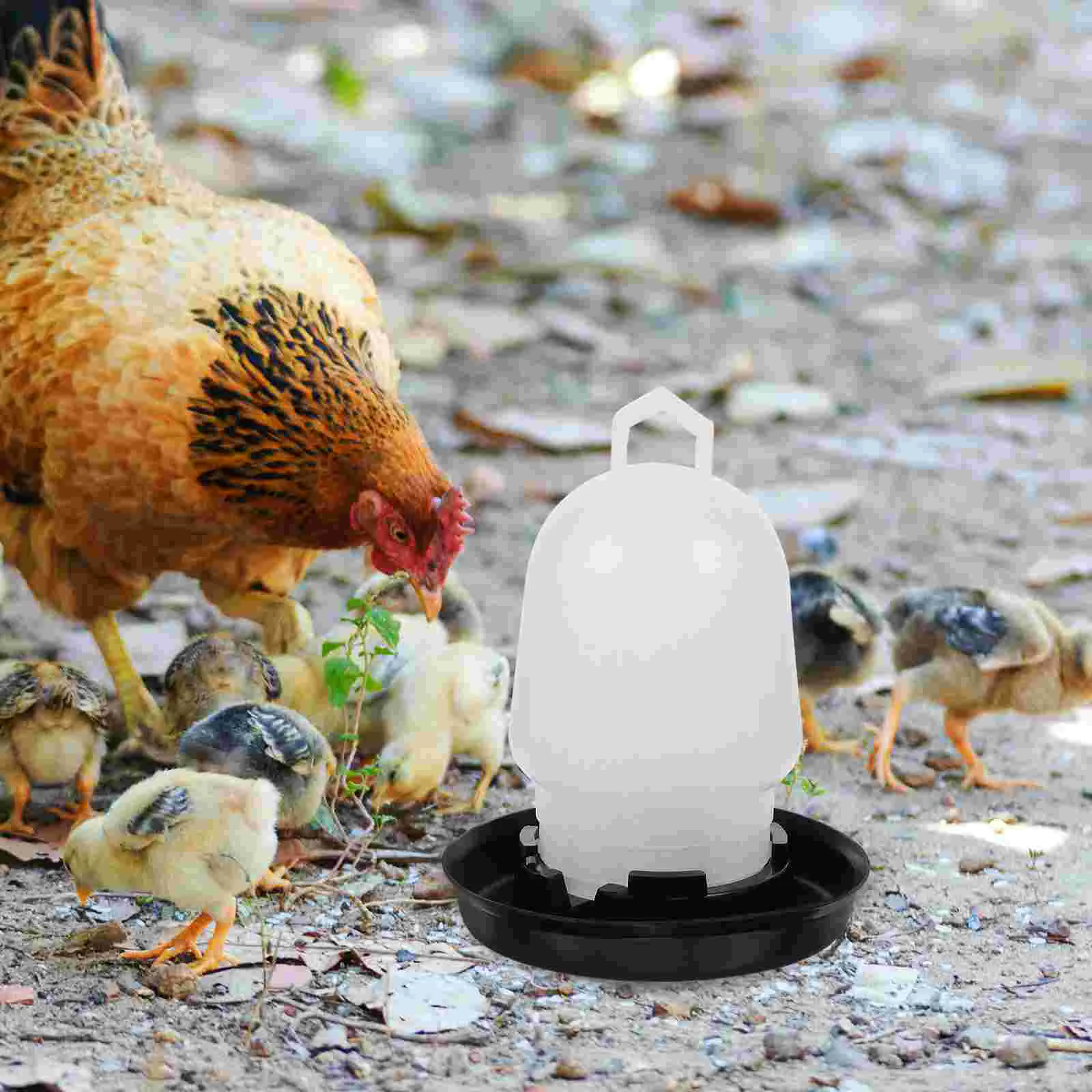 

Automatic Chicken Waterer Large Storage Bucket Feeder Trough Poultry Dispenser Watering Cups