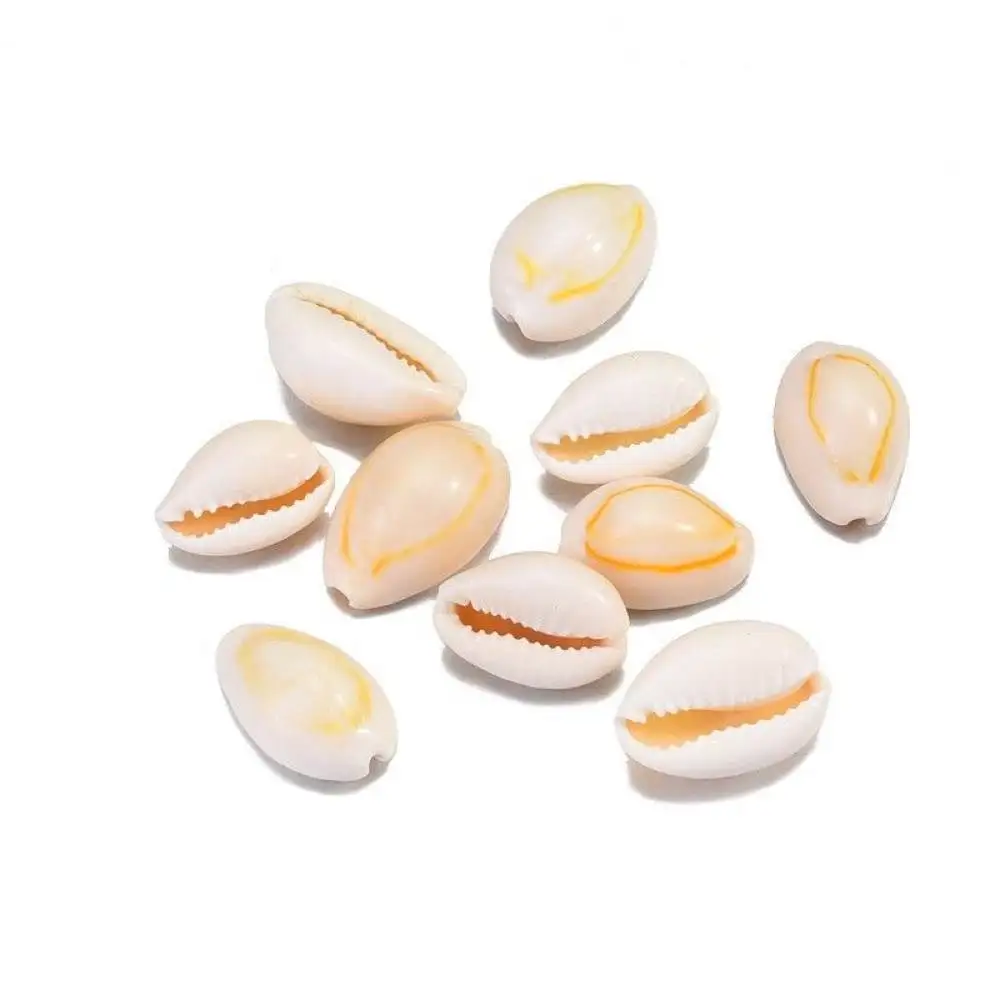 Mixed Nature Sea Shells Tiny Starfish Decor Aquarium Landscape Material Hermit Crab House Table Ornament Craft Project
